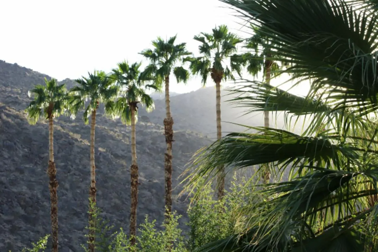Villa Thornhill Palm Springs Verenigde Staten